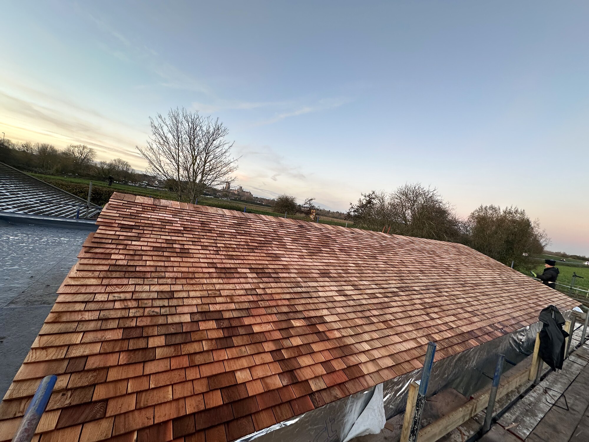 Finished cedar shingle roof at golden hour, The Birch Room, Suffolk
