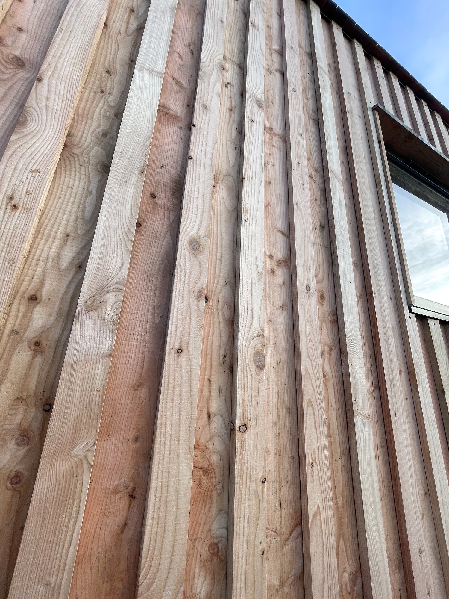 Scottish larch cladding detail, The Birch Room